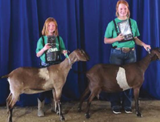 L-r: Oakleigh Elwood - Nubian Goat Reserve Champion 4-H; Keeleigh Elwood - Nubian Goat Grand Champion 4-H.